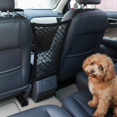 Filet chien voiture