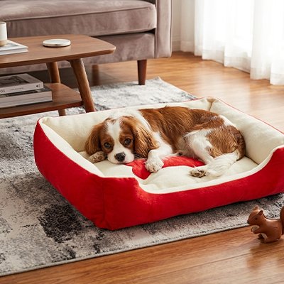 Panier pour Chien