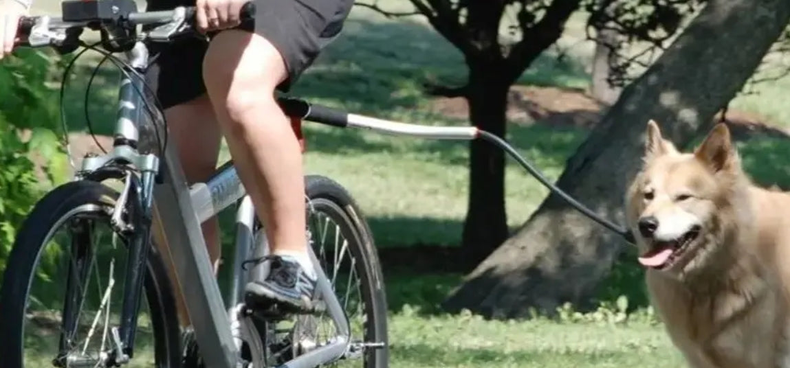 Laisse pour chien vélo | FreeRide - Mon meilleur amis