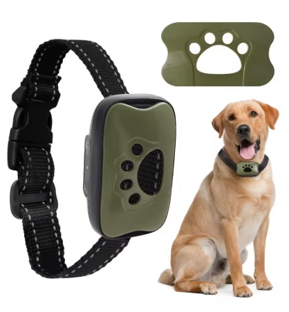 Collier de dressage pour Chien | Rechargeable 3 modes - Mon meilleur amis