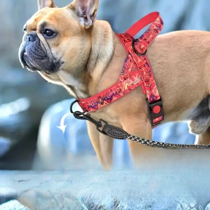 Harnais pour chien - DogSafeHarness™ - Rouge - Mon meilleur amis
