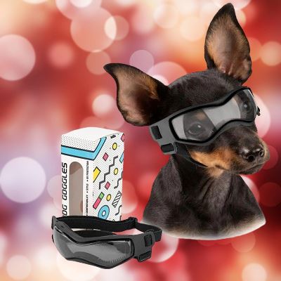 Lunettes pour Chien - DogGoggles™ - Mon meilleur amis