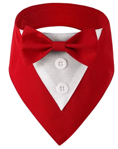 Bandana Chien | StylePaws - Mon meilleur amis