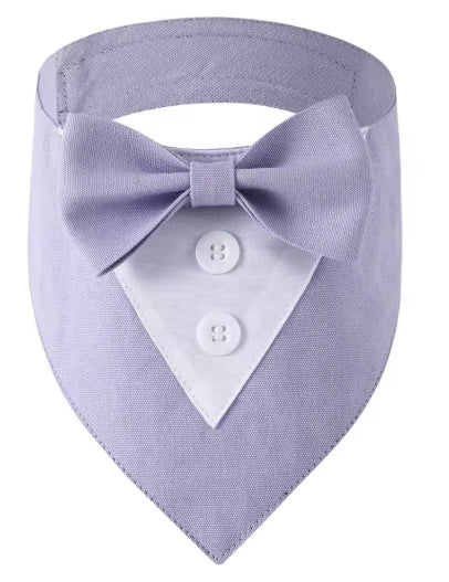 Bandana Chien | StylePaws - Mon meilleur amis