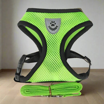 Harnais Petit Chien - DogHarnessLeadLeash™ - Vert - Mon meilleur amis