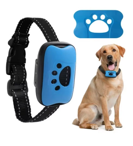Collier de dressage pour Chien | Rechargeable 3 modes - Mon meilleur amis