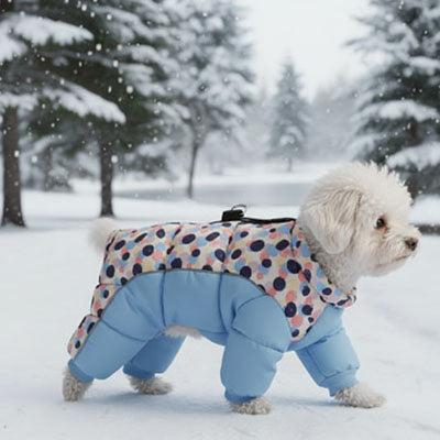 Manteau pour Chien | DRESSPET Imperméable