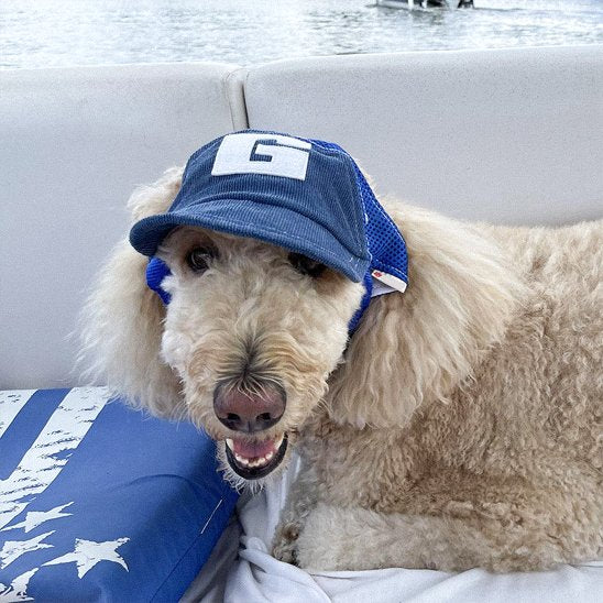 Casquette chien​