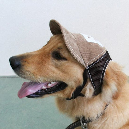 Casquette chien​