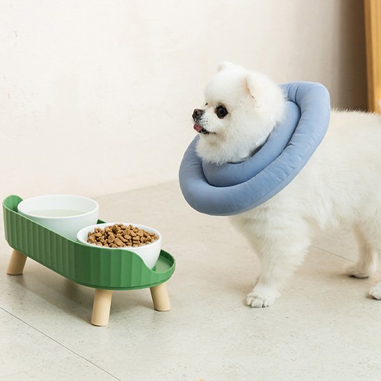 Collerette chien