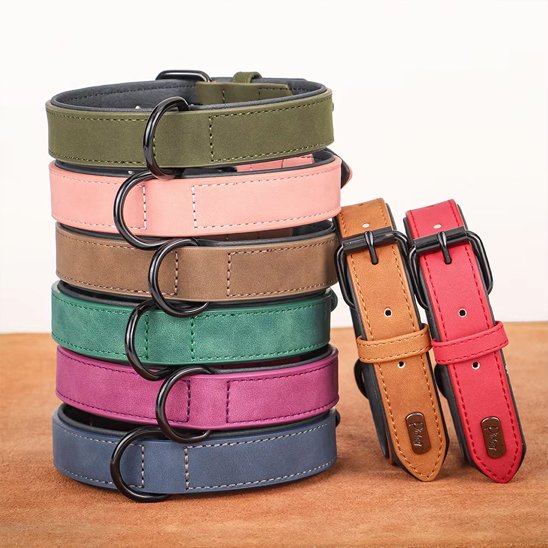 Collier chien 