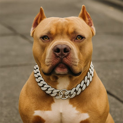 Collier pour chien