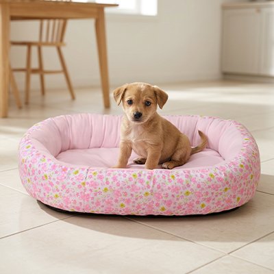 Coussin Chien 