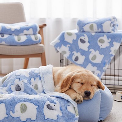 Couverture pour chien