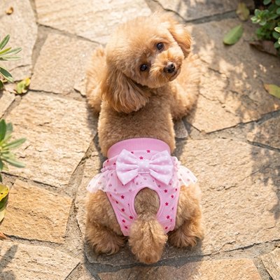 Culotte chien 