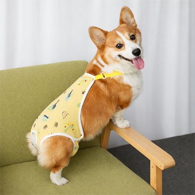 Culotte pour chien 