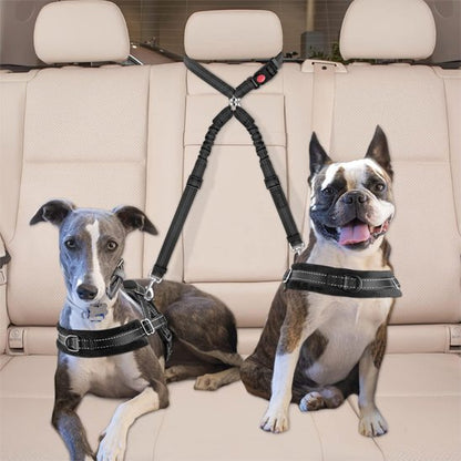 Double laisse pour chien