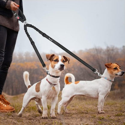 Double laisse pour chien
