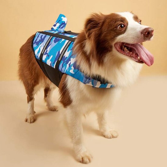Gilet de sauvetage chien