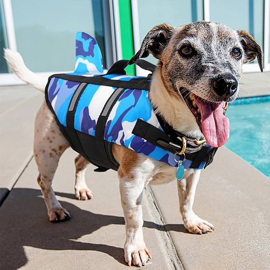 Gilet de sauvetage chien