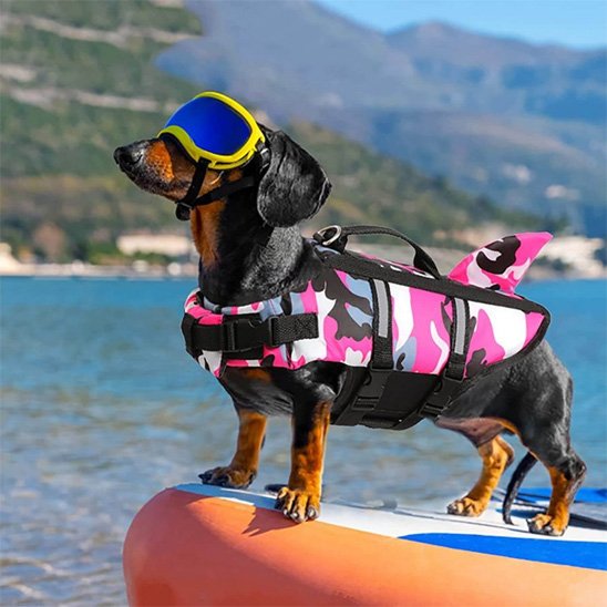 Gilet de sauvetage chien