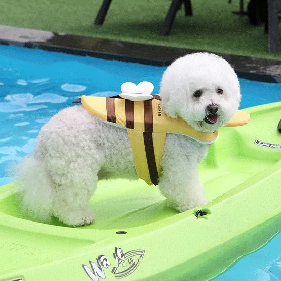 Gilet de sauvetage chien