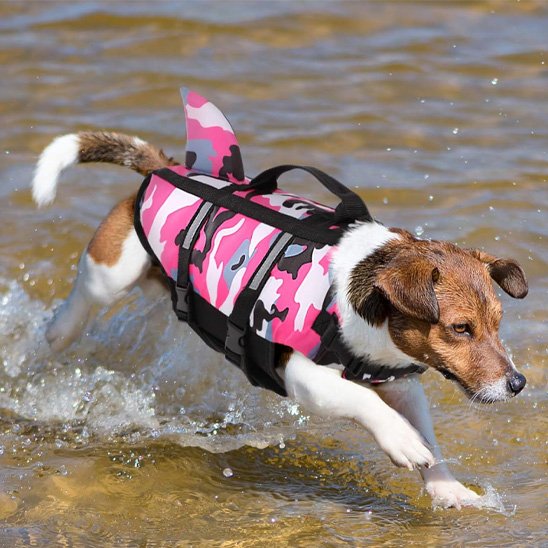 Gilet de sauvetage chien