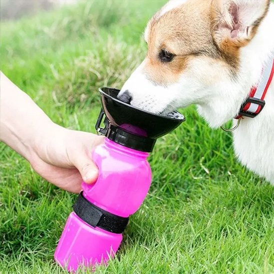 Gourde pour chien​