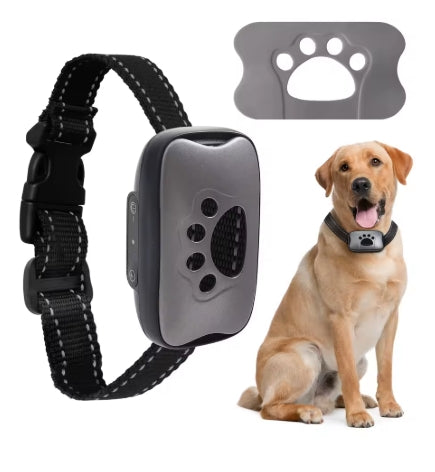 Collier de dressage pour Chien | Rechargeable 3 modes - Mon meilleur amis