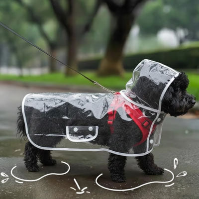Imperméable pour chien - Mon meilleur amis