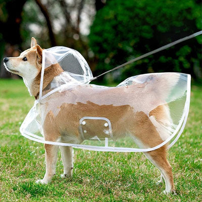 Imperméable pour chien - Mon meilleur amis