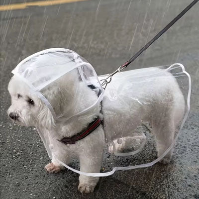 Imperméable pour chien - Mon meilleur amis