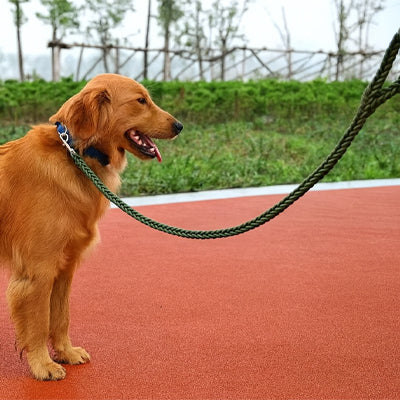 Laisse pour Chien | UltraFlex Écologique - Mon meilleur amis