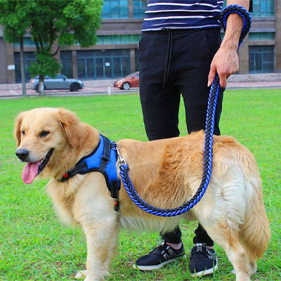 Laisse pour Chien | UltraFlex Écologique - Mon meilleur amis