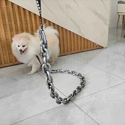 Laisse chien