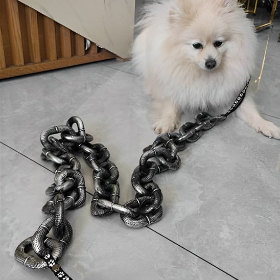 Laisse chien