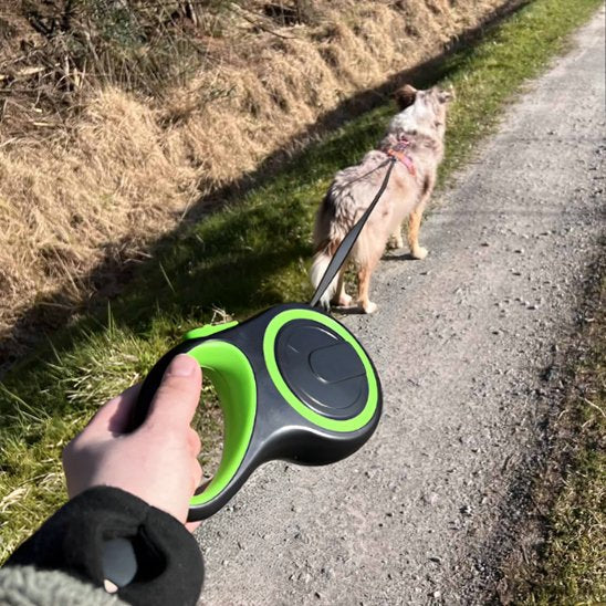 Laisse pour Chien