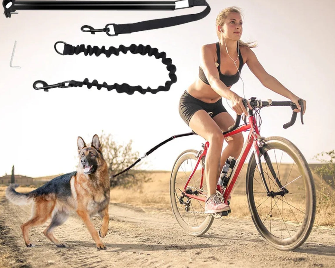 Laisse pour chien vélo | FreeRide - Mon meilleur amis
