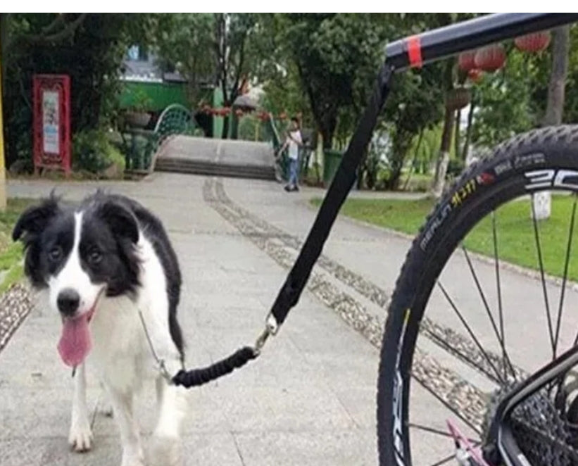 Laisse pour chien vélo | FreeRide - Mon meilleur amis
