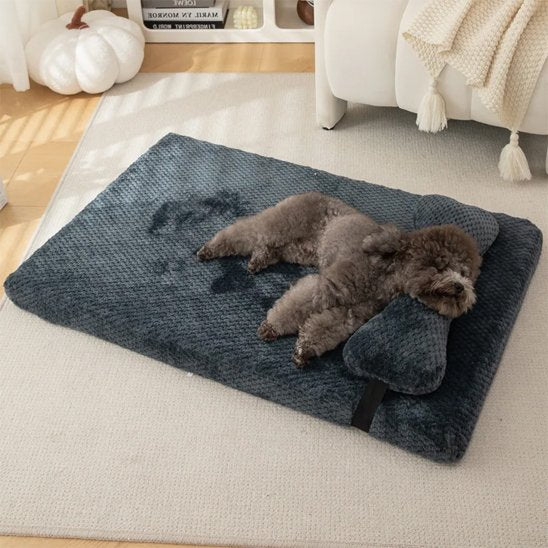Lit pour chien