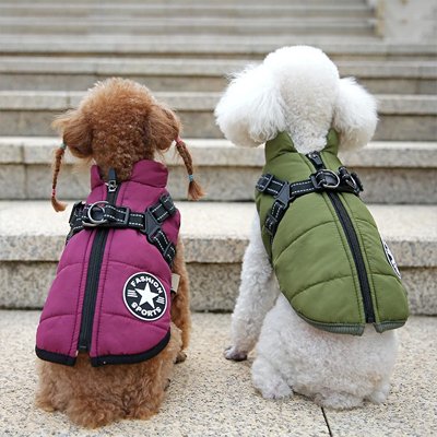 Manteau Chien