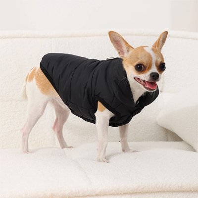 Manteau pour Chien 