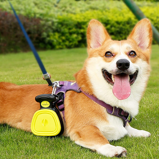 Ramasse crotte pour chien - Mon meilleur amis