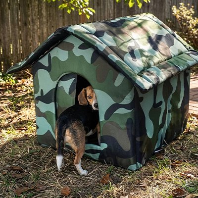 Niche Chien exterieur 