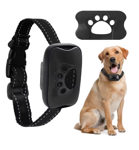 Collier de dressage pour Chien | Rechargeable 3 modes - Mon meilleur amis