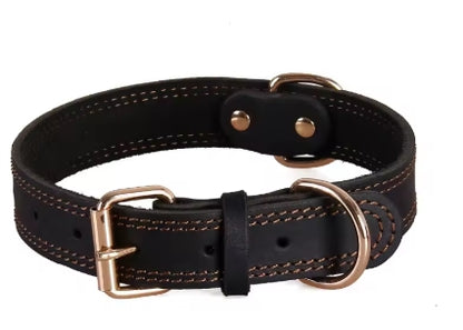 Collier chien | Résistant et Confortable - Mon meilleur amis