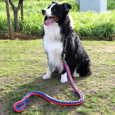 Laisse pour Chien | UltraFlex Écologique - Mon meilleur amis