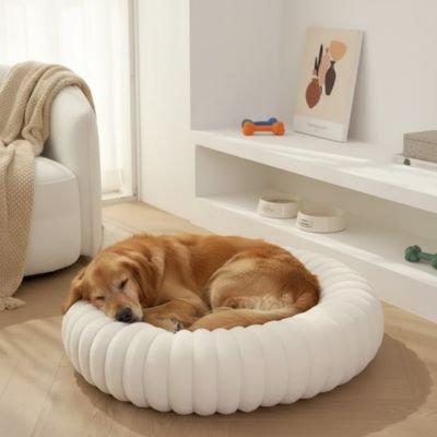 Panier pour Chien 