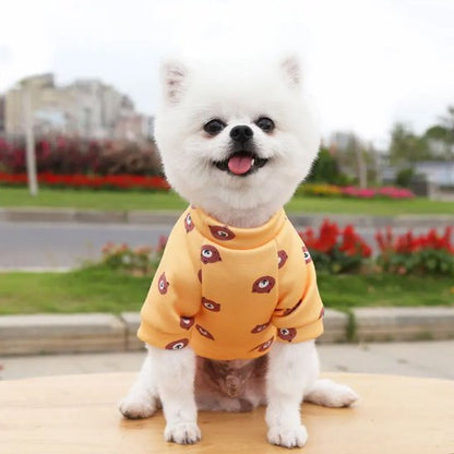 Pull pour chien