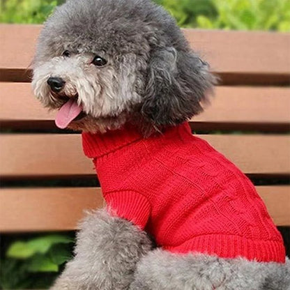 Pull pour chien 